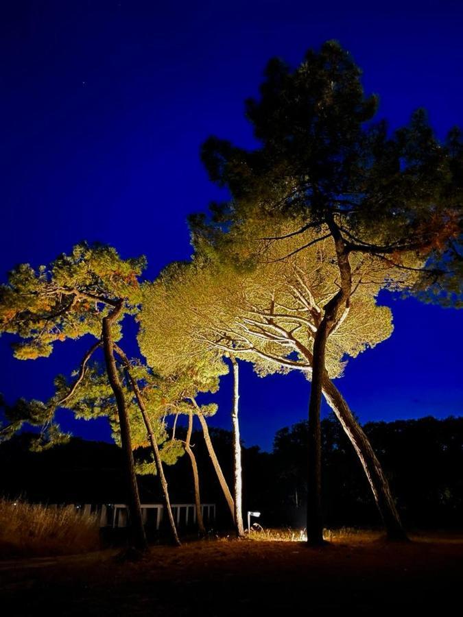 Les Salines Boyardville - Appart'Hotel Saint-Pierre-d'Oleron Buitenkant foto