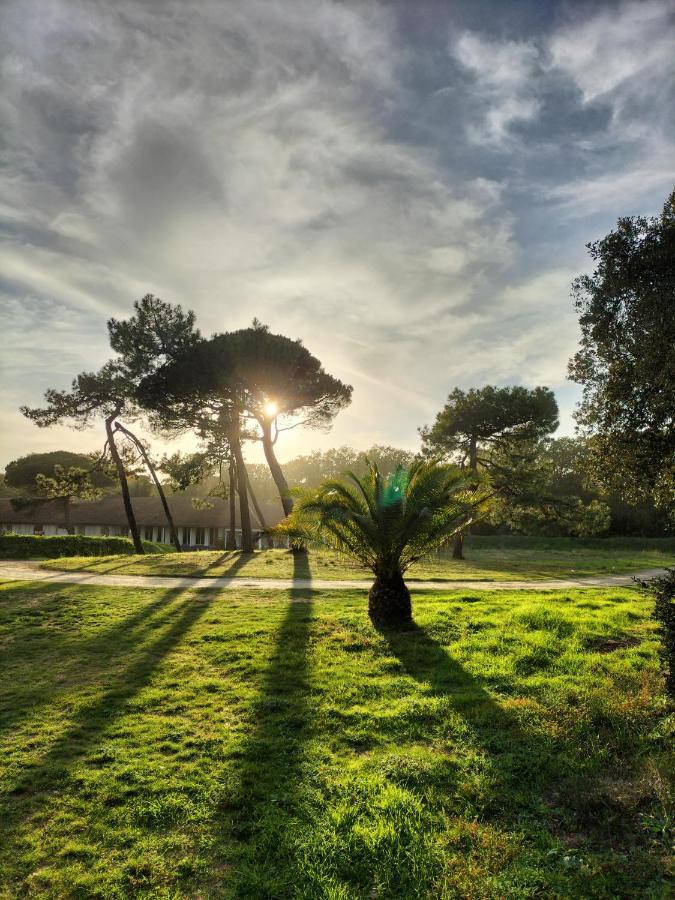 Les Salines Boyardville - Appart'Hotel Saint-Pierre-d'Oleron Buitenkant foto