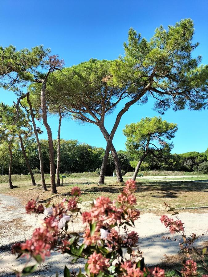 Les Salines Boyardville - Appart'Hotel Saint-Pierre-d'Oleron Buitenkant foto